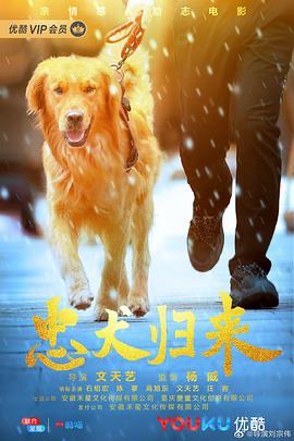 忠犬归来(全集)